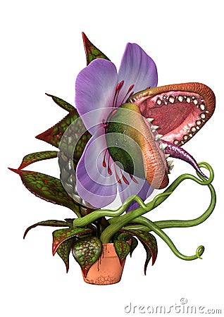 3D Rendering Carnivorous Plant on White Stock Photo