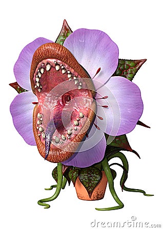 3D Rendering Carnivorous Plant on White Stock Photo