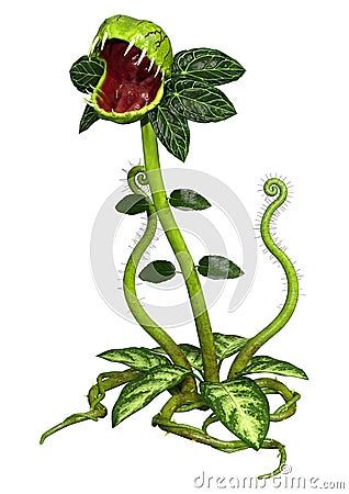 3D Rendering Carnivorous Plant on White Stock Photo