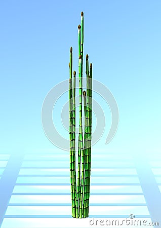 3D Rendering Common Horsetail on Blue Stock Photo