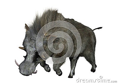 3D Rendering Common Warthog on White Stock Photo