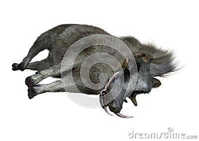 3D Rendering Common Warthog on White Stock Photo