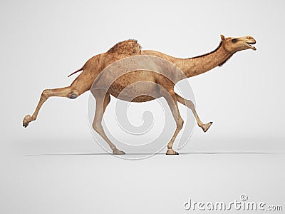 3d rendering concept of camel running on gray background with shadow Stock Photo