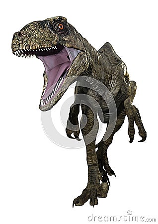 3D Rendering Dinosaur Deinonychus on White Stock Photo