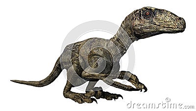 3D Rendering Dinosaur Deinonychus on White Stock Photo