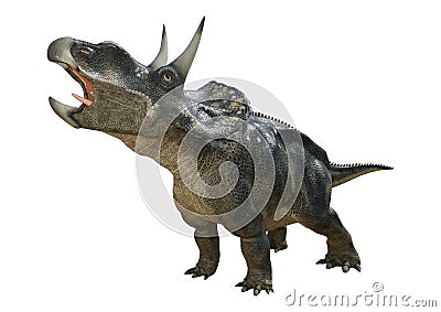 3D Rendering Dinosaur Diceratops on White Stock Photo