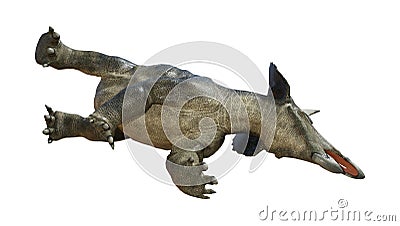 3D Rendering Dinosaur Diceratops on White Stock Photo