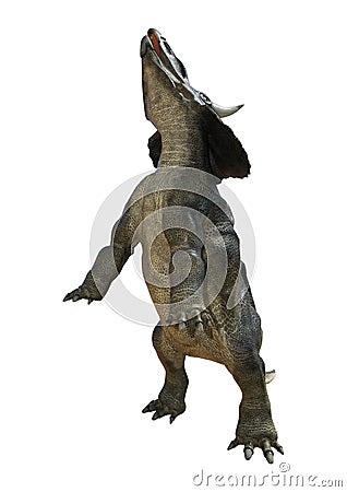 3D Rendering Dinosaur Diceratops on White Stock Photo