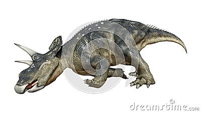 3D Rendering Dinosaur Diceratops on White Stock Photo