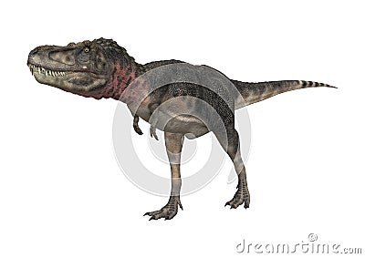 3D Rendering Dinosaur Tarbosaurus on White Stock Photo