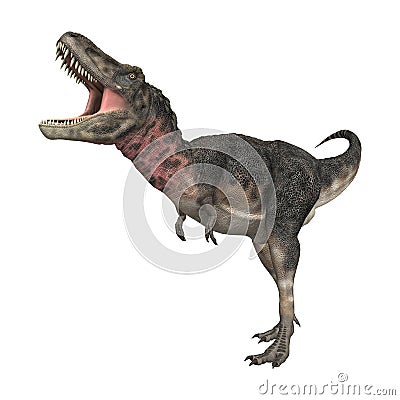 3D Rendering Dinosaur Tarbosaurus on White Stock Photo