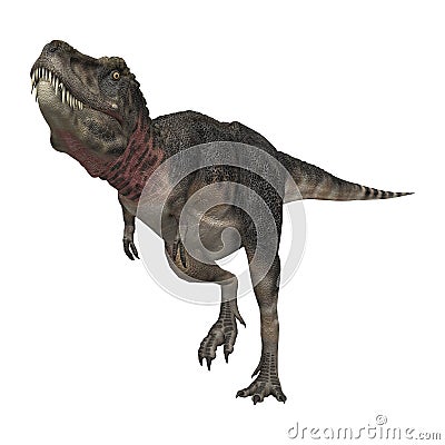 3D Rendering Dinosaur Tarbosaurus on White Stock Photo