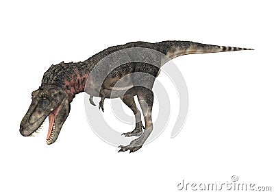 3D Rendering Dinosaur Tarbosaurus on White Stock Photo