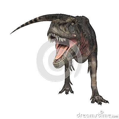 3D Rendering Dinosaur Tarbosaurus on White Stock Photo