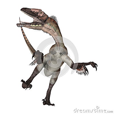 3D Rendering Dinosaur Utahraptor on White Stock Photo