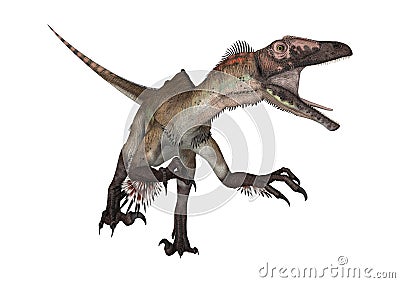 3D Rendering Dinosaur Utahraptor on White Stock Photo