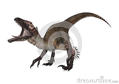 3D Rendering Dinosaur Utahraptor on White Stock Photo