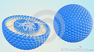 isolated DNA helixes inside of liposome Stock Photo