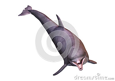 3D Rendering Dolphin on White Stock Photo