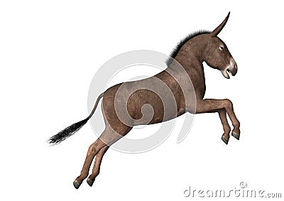 3D Rendering Donkey on White Stock Photo