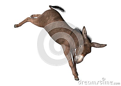 3D Rendering Donkey on White Stock Photo