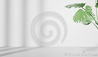 3D rendering of empty space with Monstera leaves, Abstract minimal display empty space. Geometry podium for beauty cosmetic Stock Photo