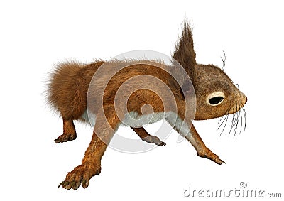 3D Rendering European Red Squirrel on White Stock Photo