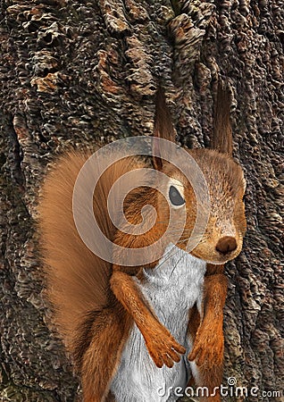 3D Rendering European Red Squirrel Stock Photo