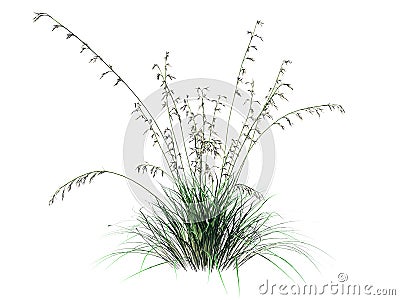 3d rendering of flower bush isolated on white can be used for foreground design Stock Photo