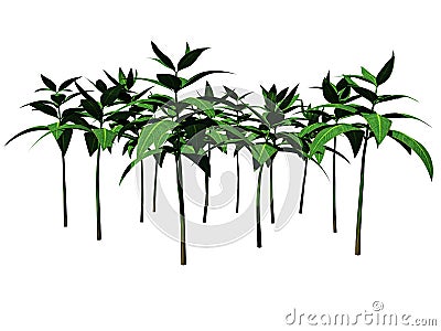 3d rendering of flower bush isolated on white can be used for foreground design Stock Photo