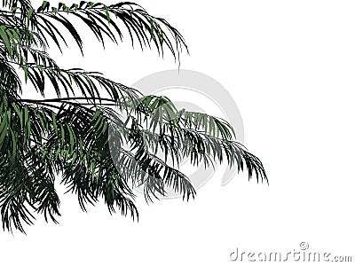 3d rendering of a foreground tree branch isolated on white background Stock Photo