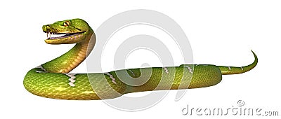 3D Rendering Green Tree Python on White Stock Photo