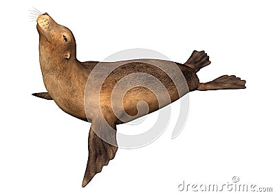 3D Rendering Harbor Seal on White Stock Photo