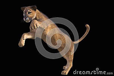 3d rendering of haunting puma on black background Stock Photo