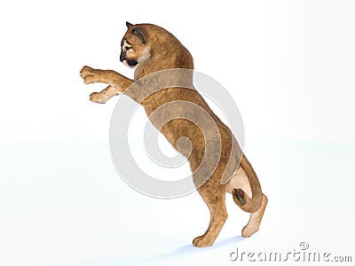 3d rendering of haunting puma on white background Stock Photo