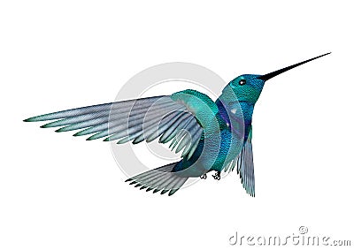 3D Rendering Humming Bird on White Stock Photo