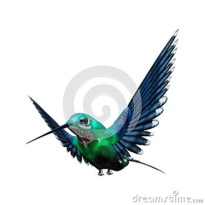 3D Rendering Humming Bird on White Stock Photo