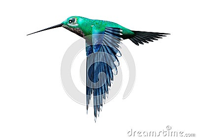 3D Rendering Humming Bird on White Stock Photo