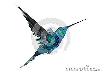 3D Rendering Hummingbird on White Stock Photo