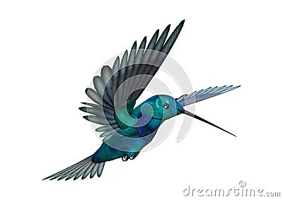 3D Rendering Hummingbird on White Stock Photo
