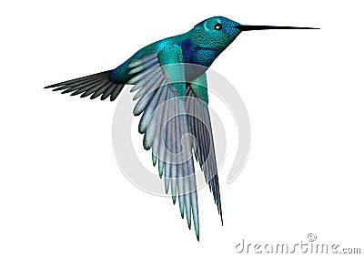 3D Rendering Hummingbird on White Stock Photo