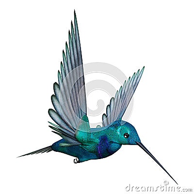 3D Rendering Hummingbird on White Stock Photo