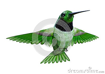 3D Rendering Hummingbird on White Stock Photo