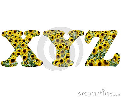 3d rendering illustration of the letters XYZ made out of yellow daisy flowers on a white background Cartoon Illustration