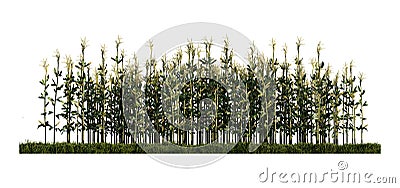 A 3d rendering image of corn on green grasses field Stock Photo