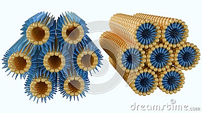A 3D rendering of a lamellar phase and an inverse hexagonal phase Stock Photo