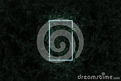 3D rendering of lighten neon rectangular shape above corn plants. Flat lay of minimal nature style concept Stock Photo