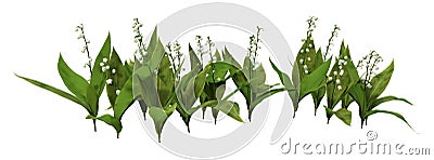 3D Rendering Lily of the Valley Flowers on White Stock Photo