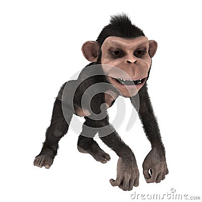 3D Rendering Little Chimpanzee on White Stock Photo