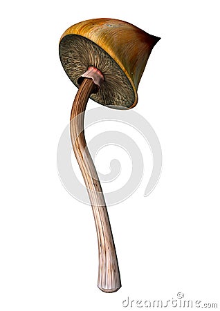 3D Rendering Magic Mushroom on White Stock Photo